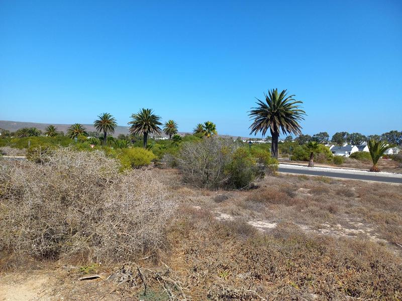 0 Bedroom Property for Sale in Shelley Point Western Cape